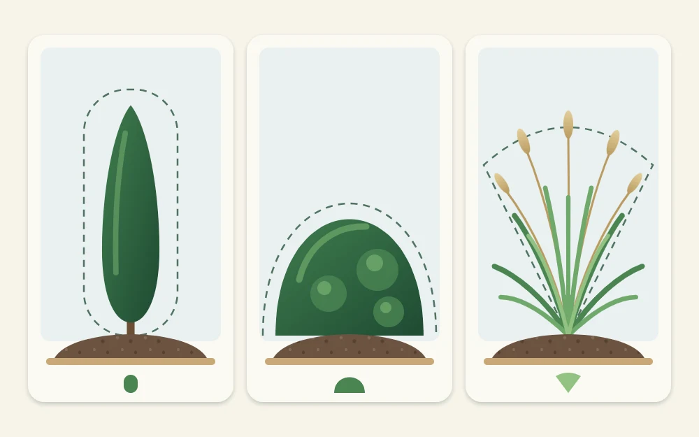 Three plant silhouettes side by side: a narrow upright column, a neat compact dome and an airy see-through grass, each on a soil mound