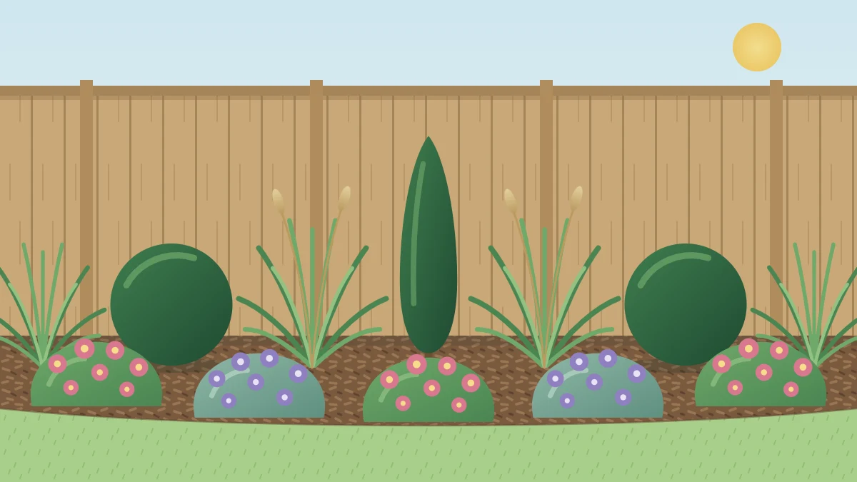 A small border against a fence with two clipped round evergreens, a narrow upright shrub, ornamental grasses and repeated low flowering perennials