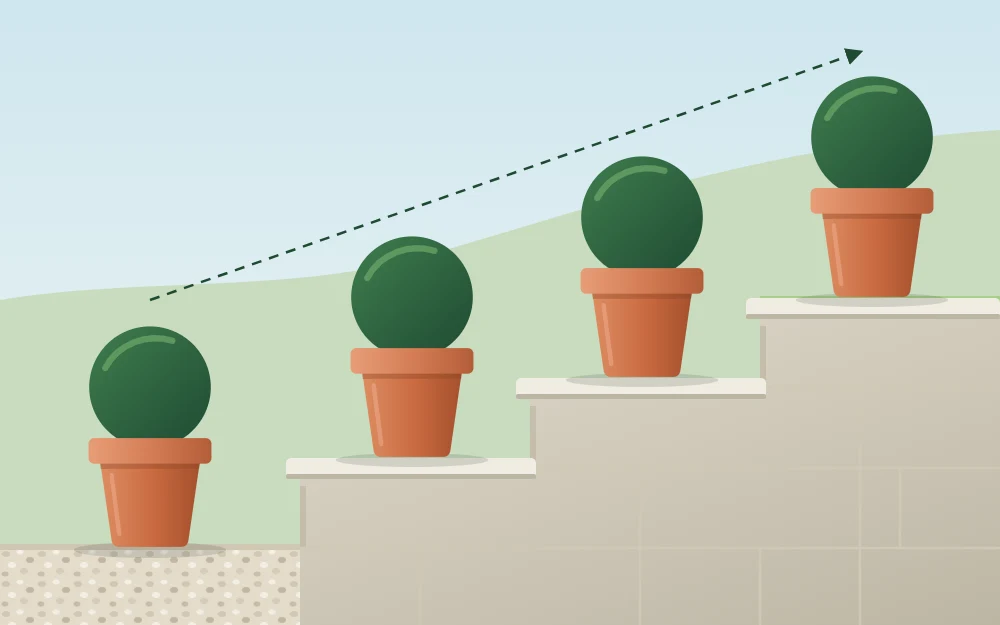 A row of identical pots with clipped round shrubs repeated up the side of three garden steps