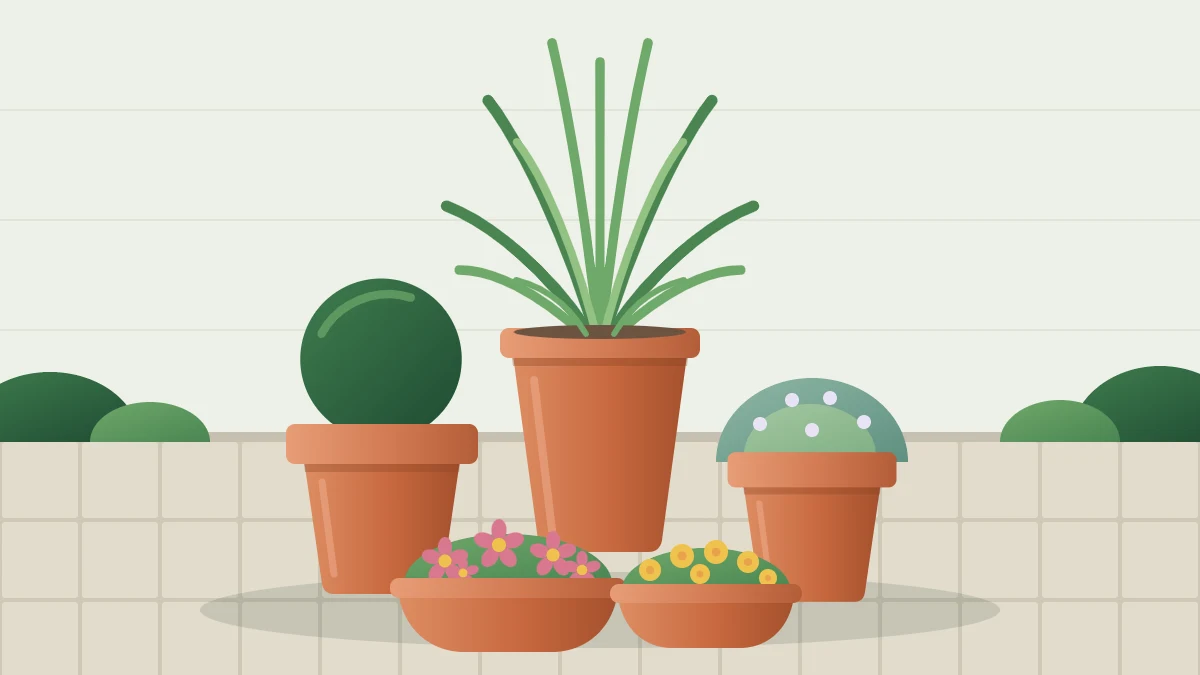 Five terracotta pots of different heights arranged in a triangle on paving, the tallest at the back with a grassy plant