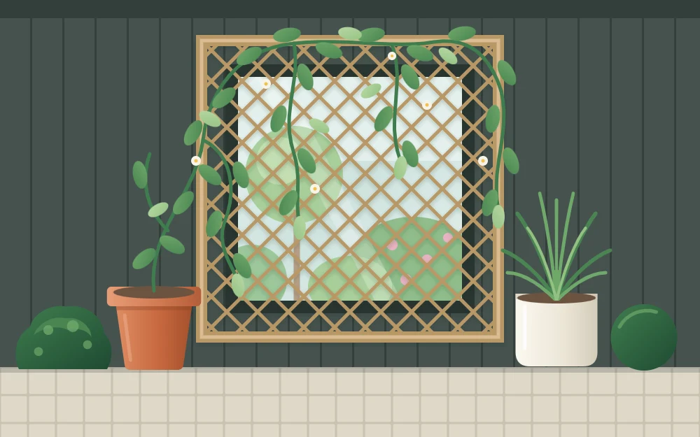 A square mirror on a fence overlaid with an open trellis panel and trailing leaves that break up the reflection
