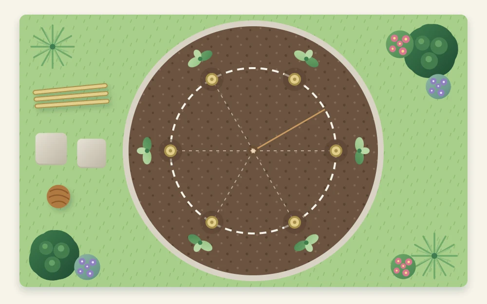 Top-down view of a circle marked on soil with six evenly spaced dots for canes and a seedling beside each dot