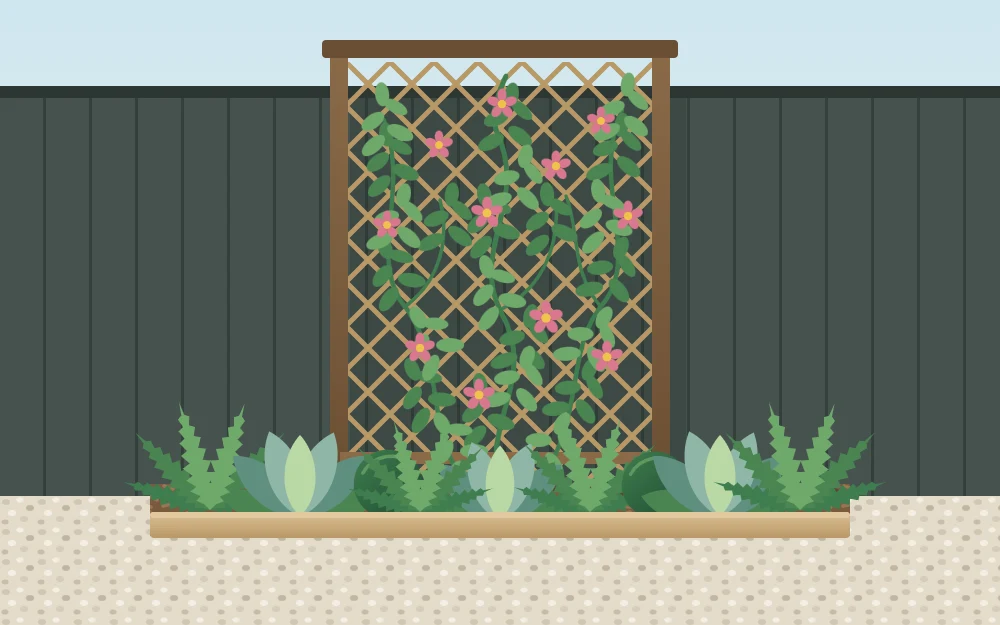A slim trellis panel standing in front of a fence with a climber growing on it and a narrow bed of low foliage plants at its base