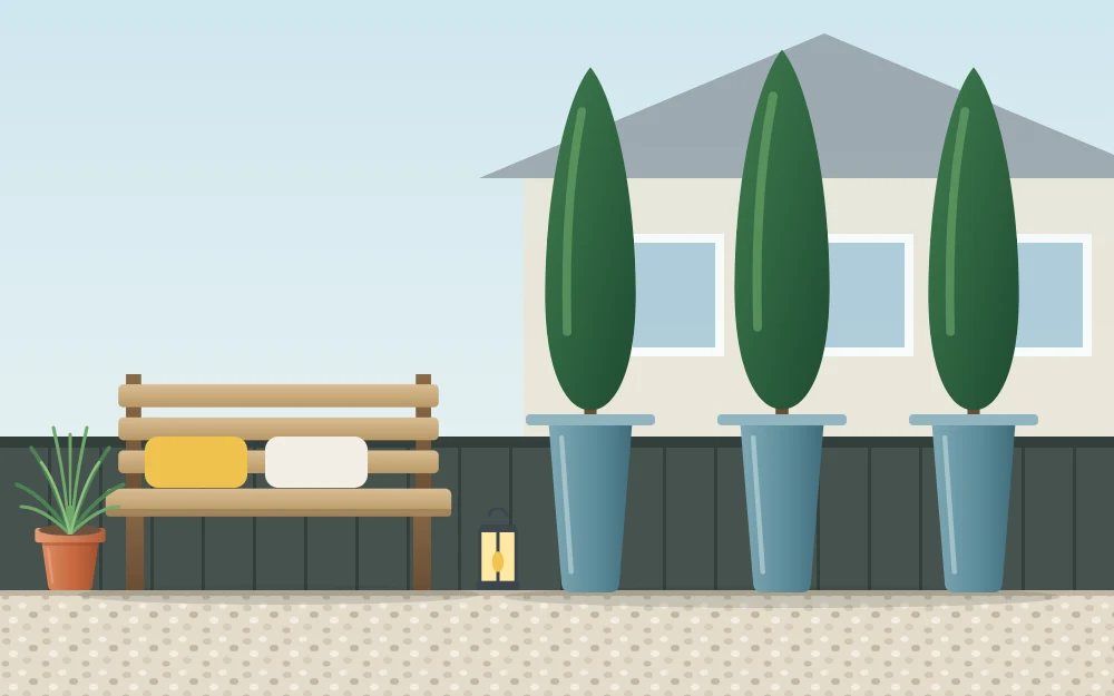 Three tall narrow evergreen plants in matching planters forming a soft green screen beside a garden bench