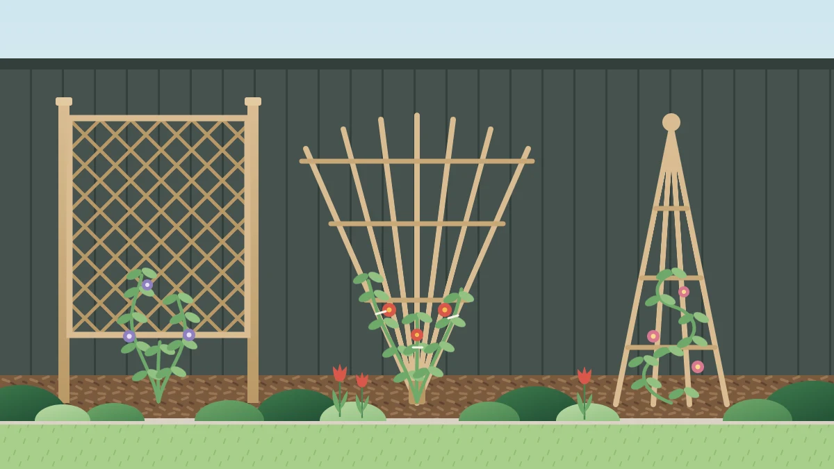 A small garden bed with a flat lattice panel on posts, a fan-shaped trellis and a pyramid obelisk, each with a young climber